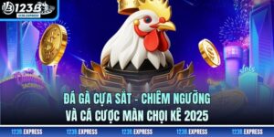 Đá Gà Cựa Sắt - Chiêm Ngưỡng Và Cá Cược Màn Chọi Kê 2025